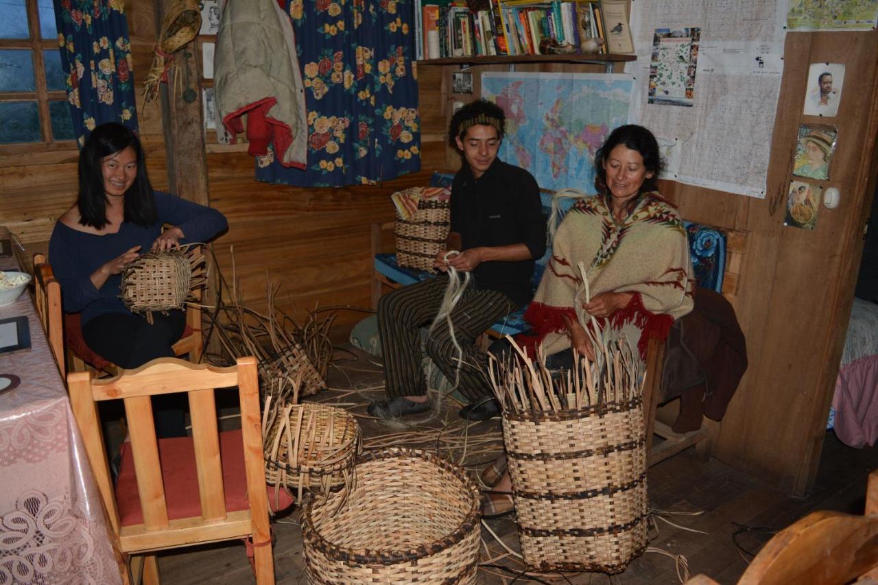 Patricia And Ned'S Cloud Forest Farm Cotacachi Εξωτερικό φωτογραφία