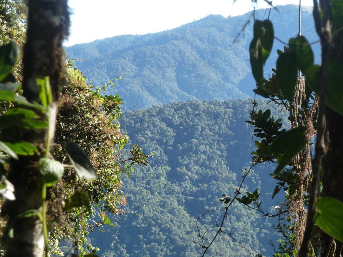 Patricia And Ned'S Cloud Forest Farm Cotacachi Εξωτερικό φωτογραφία