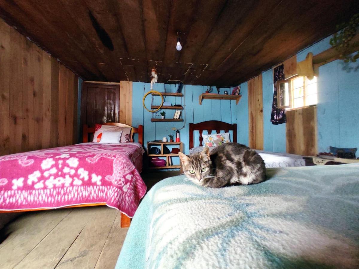 Patricia And Ned'S Cloud Forest Farm Cotacachi Εξωτερικό φωτογραφία